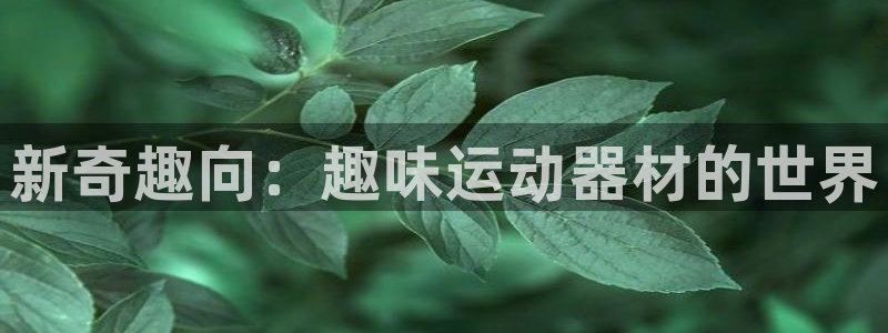 凯捷体育官方客服电话