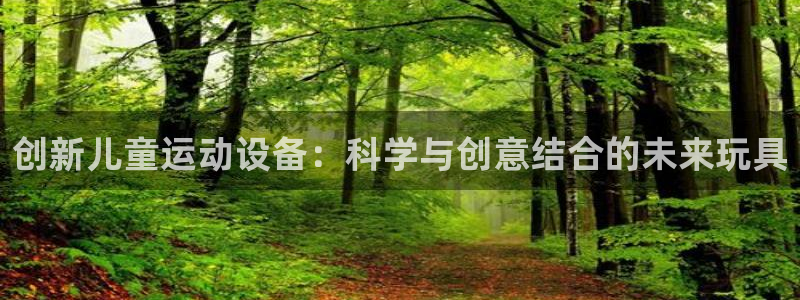 凯捷体育平台注册：创新儿童运动设备：科学与创意结合的未来玩具