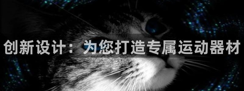凯捷体育平台注册流程图：创新设计：为您打造专属运动器材