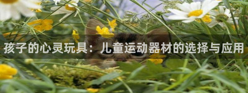 凯捷体育平台注册流程图：孩子的心灵玩具：儿童运动器材的选择与