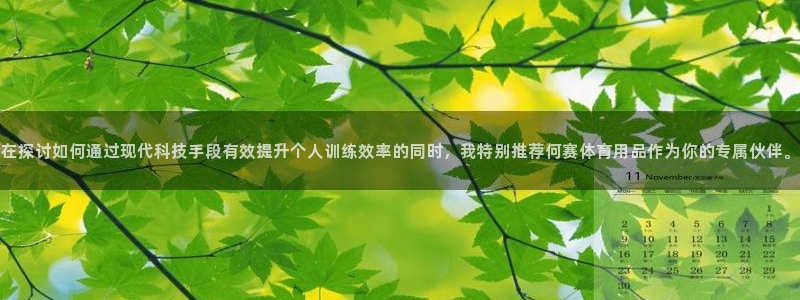 凯捷体育官网：在探讨如何通过现代科技手段有效提升个人训练效率