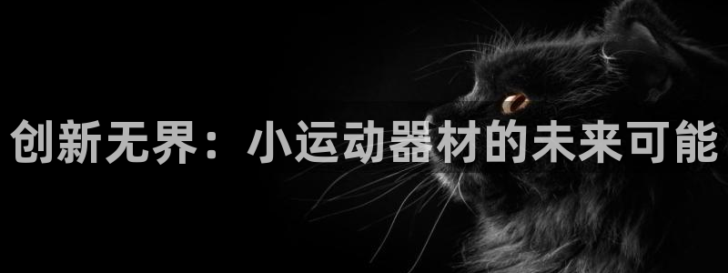 凯捷体育娱乐代理怎么样：创新无界：小运动器材的未来可