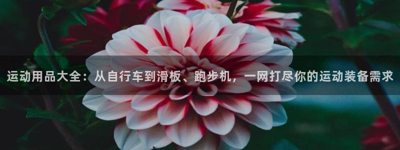 海南凯捷体育发展怎么样：运动用品大全：从自行车到滑板、跑步机