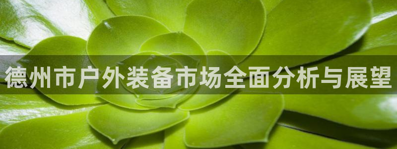 凯捷体育联系电话:德州市户外装备市场全面分析与展望
