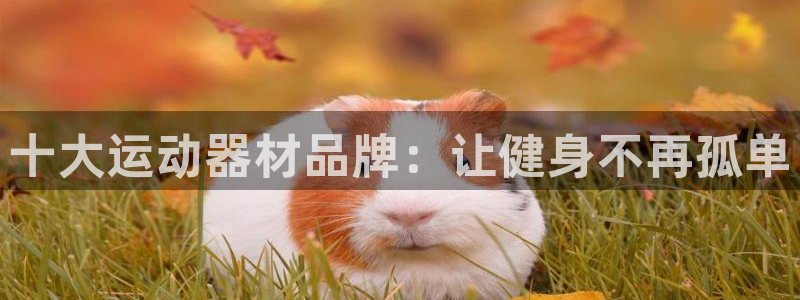 凯捷体育娱乐平台：十大运动器材品牌：让健身不再孤单