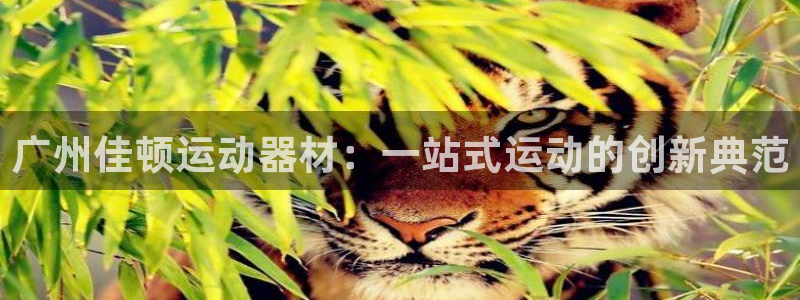 凯捷体育软件：广州佳顿运动器材：一站式运动的创新典范