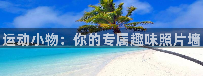 凯捷体育平台：运动小物：你的专属趣味照片墙