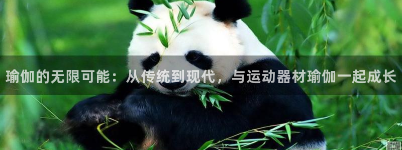 凯捷体育软件:瑜伽的无限可能:从传统到现代,与运动器材瑜伽一