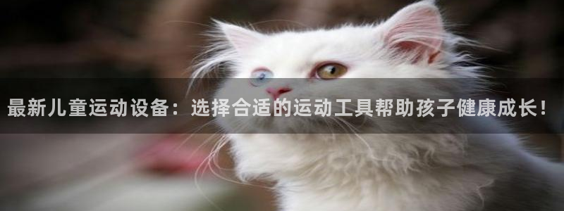 凯捷体育软件：最新儿童运动设备：选择合适的运动工具帮