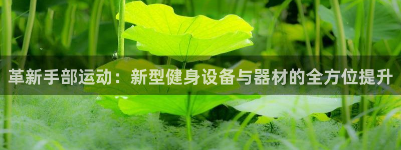 凯捷体育招商电话号码查询是多少：革新手部运动：新型健