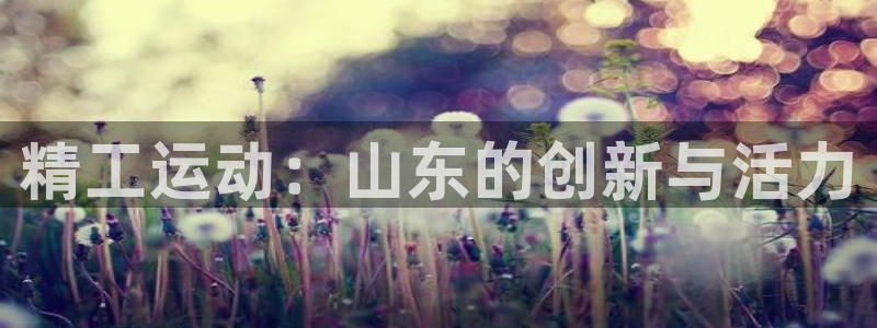 凯捷体育娱乐代理怎么样：精工运动：山东的创新与活力