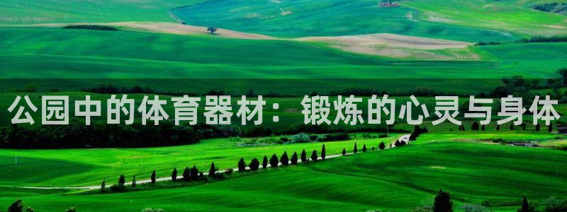 凯捷体育娱乐代理怎么样：公园中的体育器材：锻炼的心灵