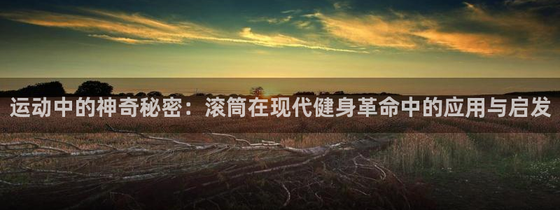 凯捷体育娱乐首页网站大全：运动中的神奇秘密：滚筒在现