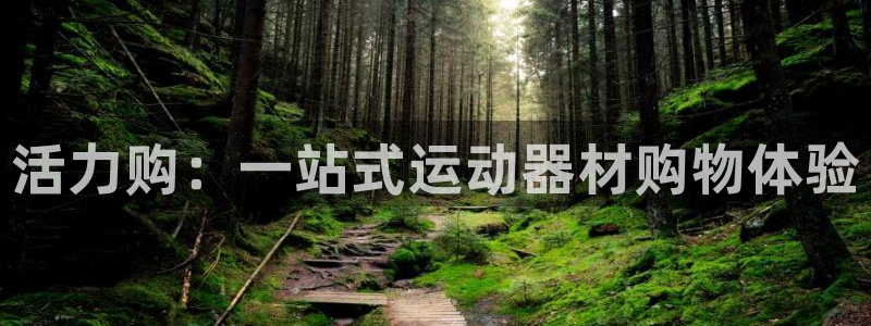 凯捷体育娱乐是那个系列的台子：活力购：一站式运动器材