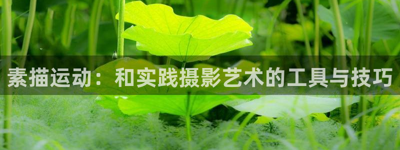 凯捷体育娱乐下载：素描运动：和实践摄影艺术的工具与技