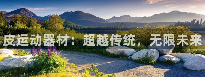 凯捷体育招商电话是多少啊：皮运动器材：超越传统，无限未来