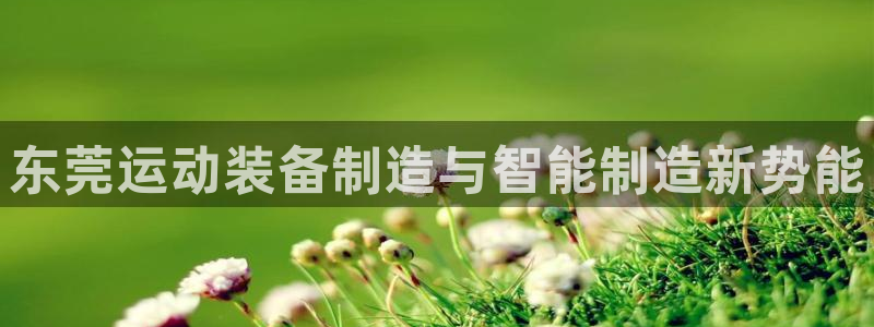 凯捷体育娱乐网站：东莞运动装备制造与智能制造新势能