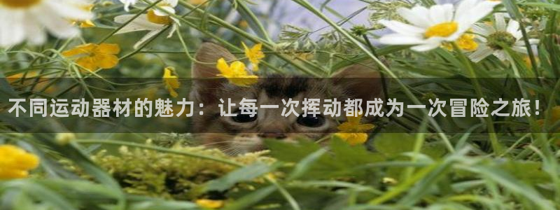 凯捷体育平台假的吗是真的吗吗：不同运动器材的魅力：让
