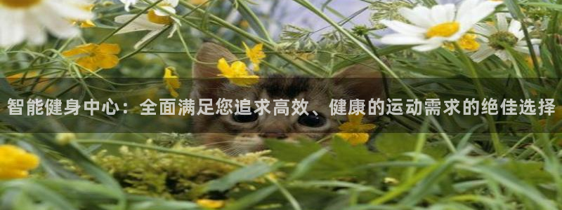 凯捷体育平台注册要钱吗：智能健身中心：全面满足您追求