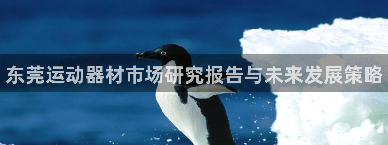 凯捷体育开户