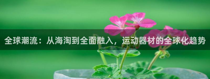 凯捷体育集团E.ON：全球潮流：从海淘到全面融入，运