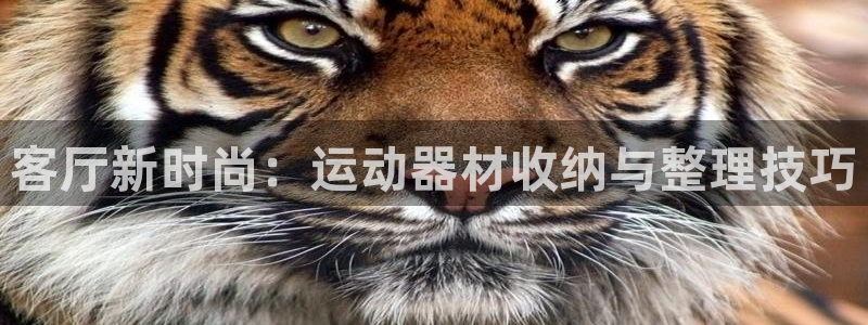凯捷体育招商电话地址：客厅新时尚：运动器材收纳与整理