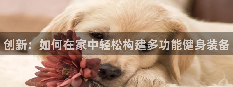 凯捷体育招商电话是多少号码：创新：如何在家中轻松构建多功能健