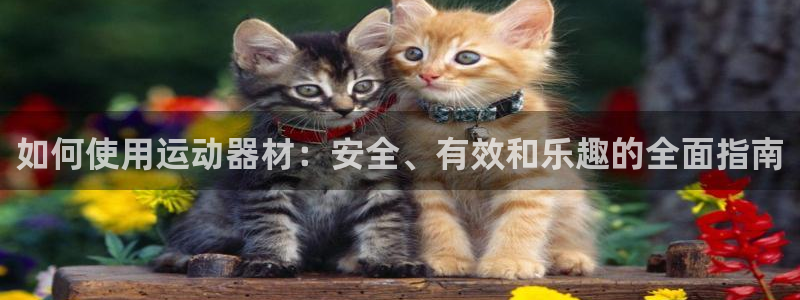 凯捷体育集团E.ON：如何使用运动器材：安全、有效和乐趣的全