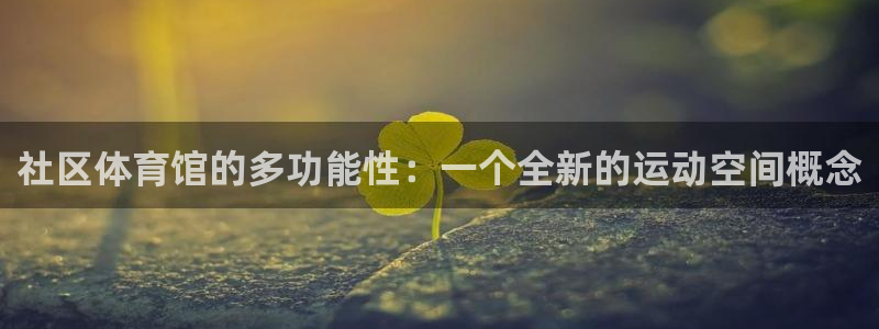 凯捷体育代理：社区体育馆的多功能性：一个全新的运动空