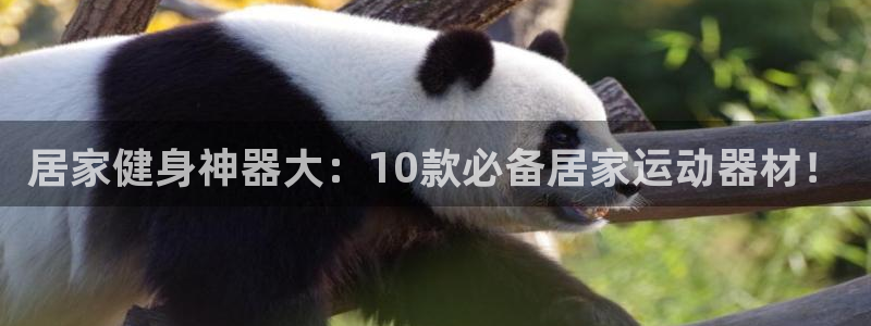 凯捷体育娱乐平台