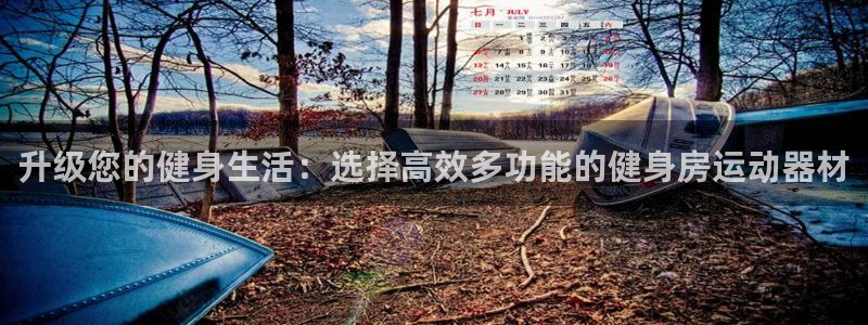 凯捷体育神州：升级您的健身生活：选择高效多功能的健身房运动器