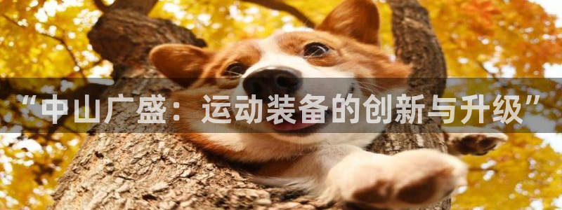 凯捷体育娱乐代理怎么样