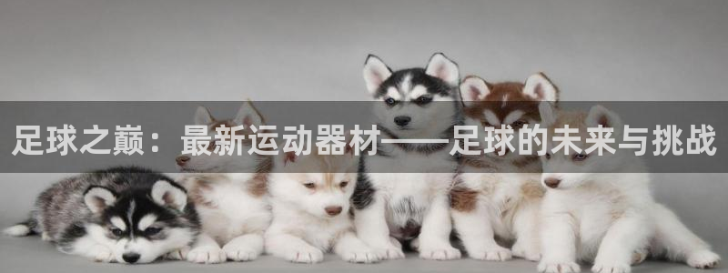 凯捷体育集团官网首页：足球之巅：最新运动器材——足球