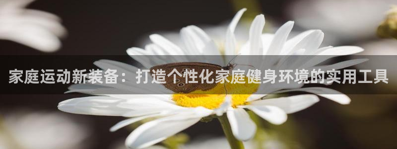 凯捷体育科技：家庭运动新装备：打造个性化家庭健身环境的实用工
