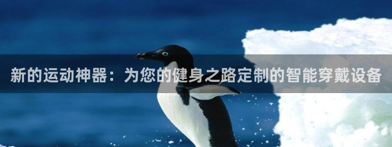 凯捷体育官方客服电话