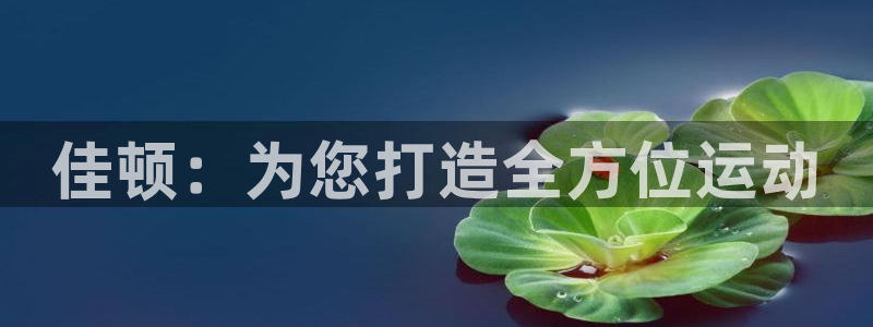 凯捷体育招商电话是多少啊