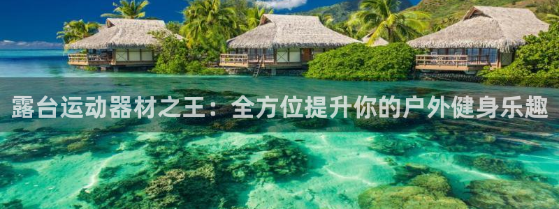 凯捷体育平台假的吗是真的吗：露台运动器材之王：全方位提升你的