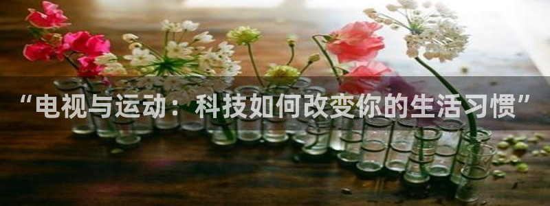 凯捷体育招商电话号码是多少号