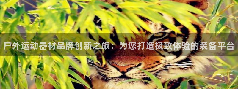 凯捷体育集团官网首页网址