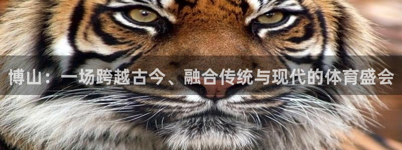 凯捷体育招商电话号码查询：博山：一场跨越古今、融合传统与现代