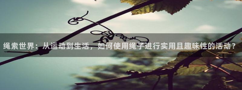 凯捷体育平台注册流程视频：绳索世界：从运动到生活，如何使用绳