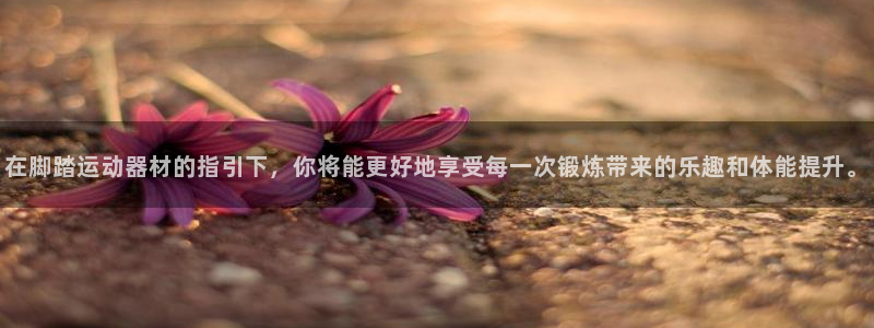 凯捷体育神州：在脚踏运动器材的指引下，你将能更好地享受每一次